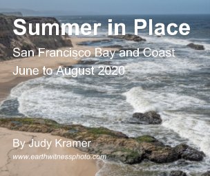 Summer in Place book cover