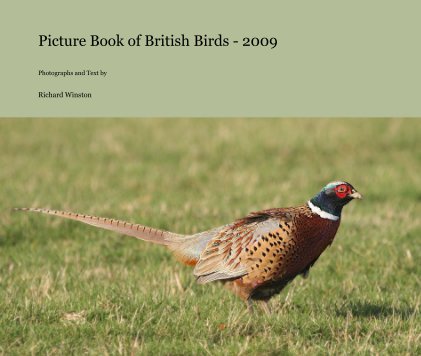 Picture Book of British Birds - 2009 book cover