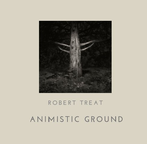 View Animistic Ground by Robert Treat