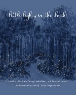 Little Lights In The Dark book cover