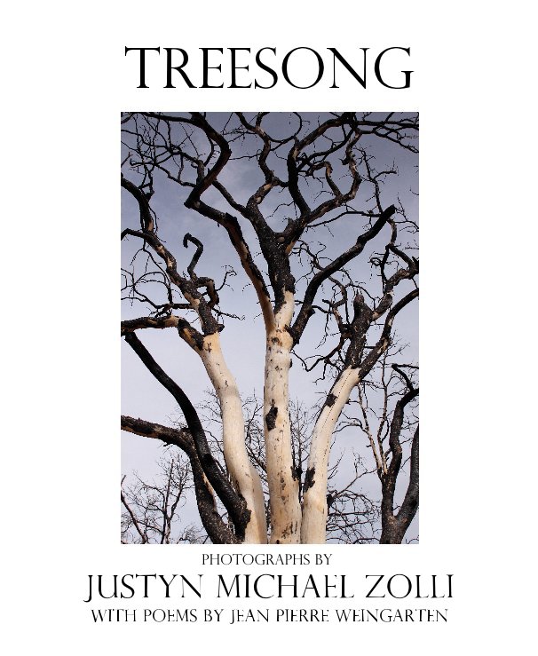 View Treesong by JUSTYN MICHAEL ZOLLI