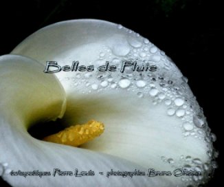 Belles de Pluie book cover
