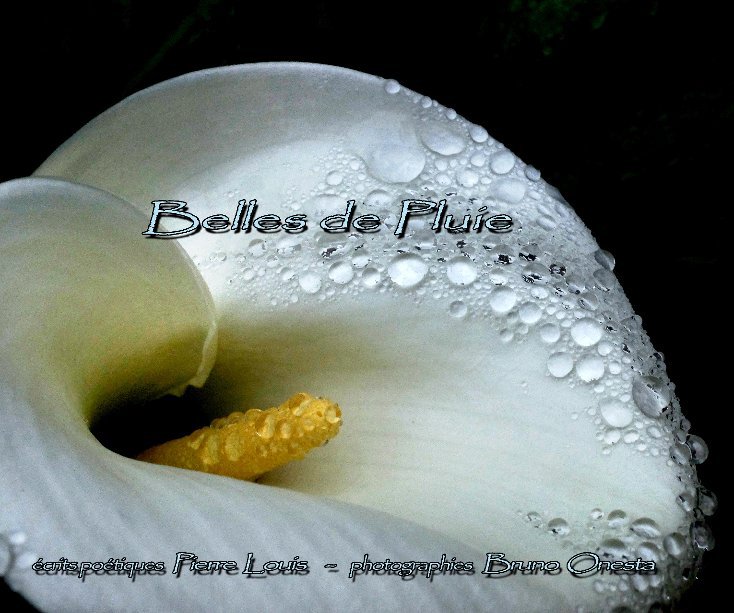Ver Belles de Pluie por Bruno Onesta - Pierre Louis