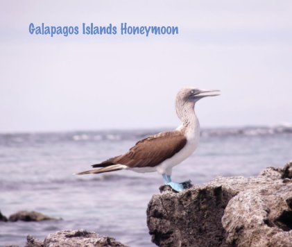Galapagos Islands Honeymoon book cover