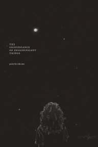 The Significance of Insignificant Things book cover