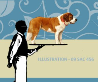 Illustration - 09 SAC 456 book cover