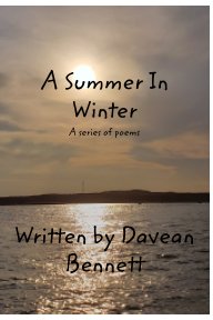 A Summer In Winter book cover
