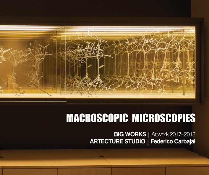 Bekijk Macroscopic Microscopies op Federico Carbajal