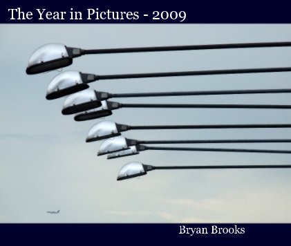 The Year in Pictures - 2009 book cover