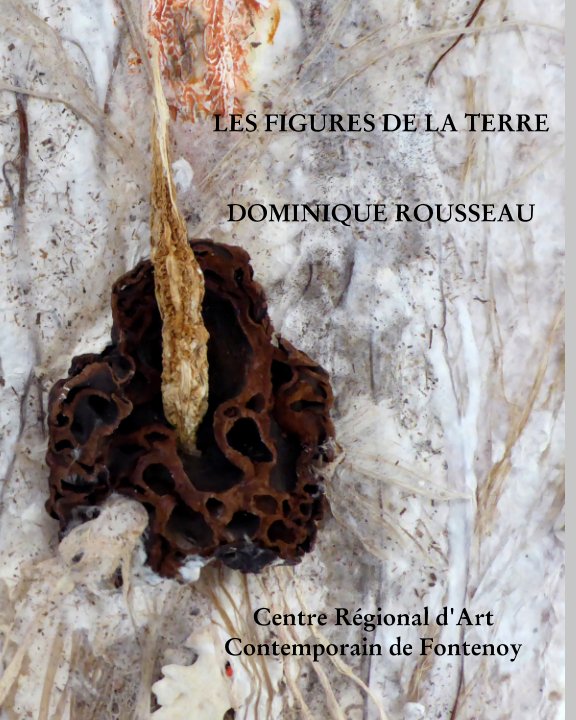 Bekijk Les figures de la terre op Dominique Rousseau
