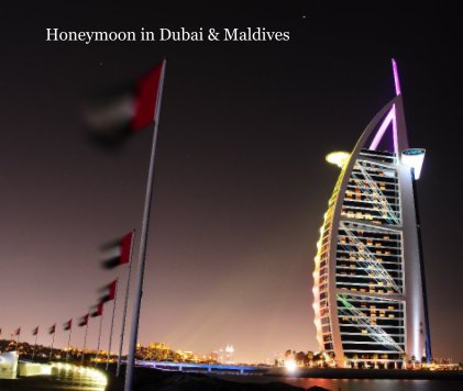 Honeymoon in Dubai & Maldives book cover