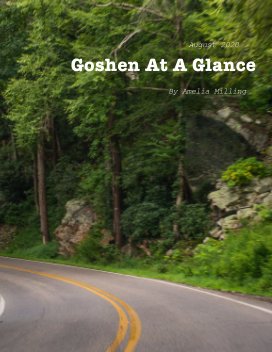 Goshen at a Glance: Zine 3 book cover