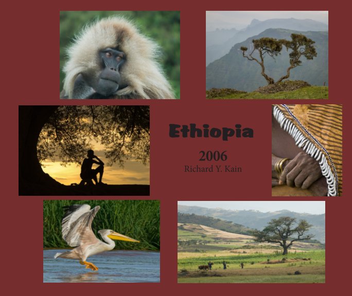 View Ethiopia by Richard Y. Kain