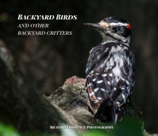 Backyard Birds
and other backyard critters book cover