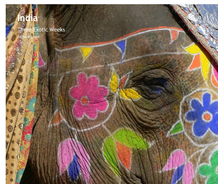 Visualizza India di Richard Engel