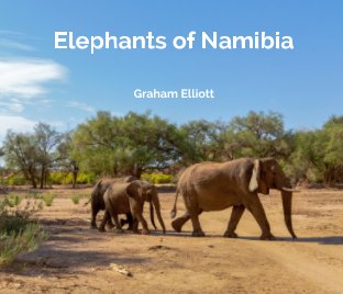 Elephants of Namibia book cover