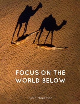 Focus on the world below book cover