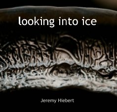 looking into ice book cover