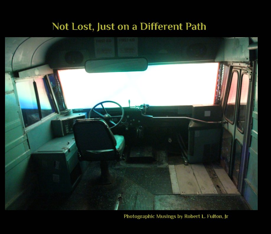 View Not Lost, Just on a Different Path by Robert L. Fulton Jr.