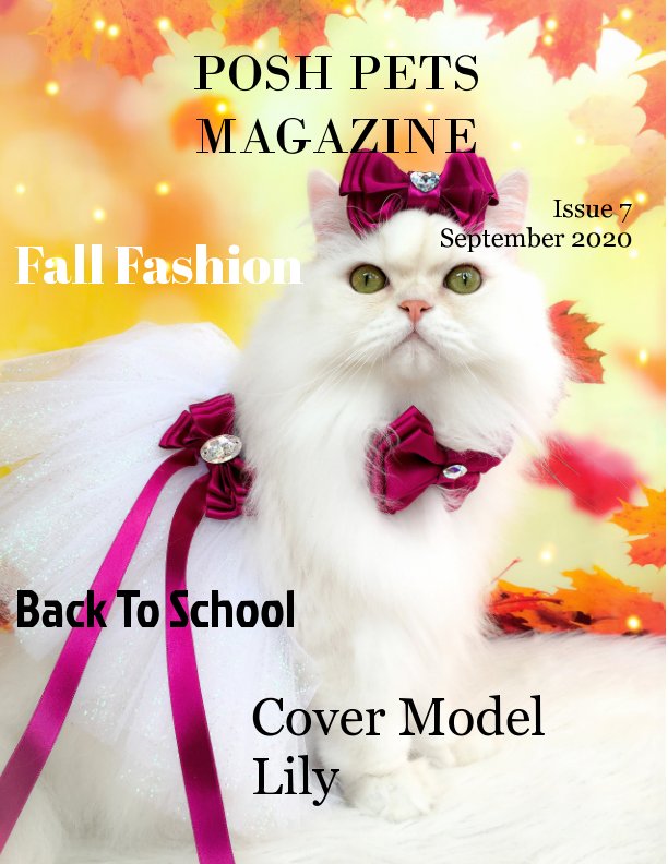 View Posh Pets  Magazine Issue7 by Posh pets Magazine