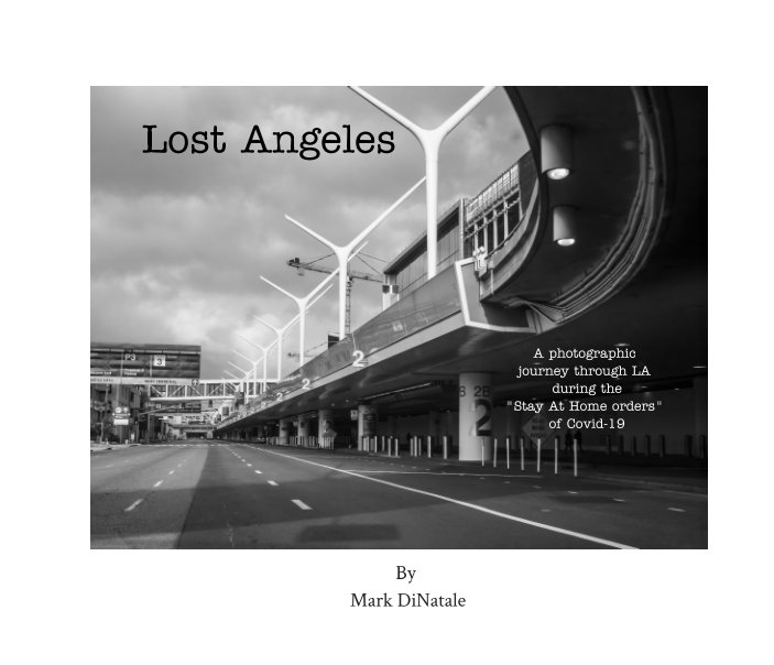 View Lost Angeles by Mark DiNatale