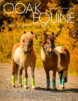 OOAK EQUINE September/October 2020 book cover