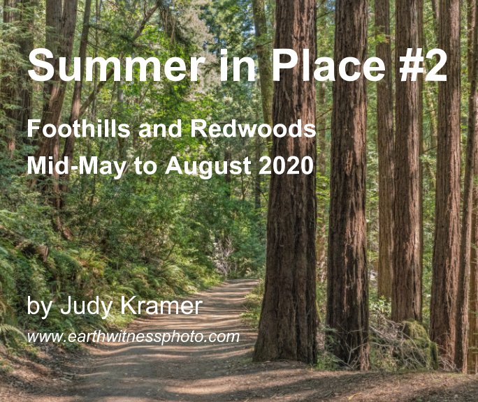 View Summer in Place2 by Judy Kramer