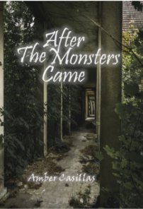 After the Monsters Came book cover