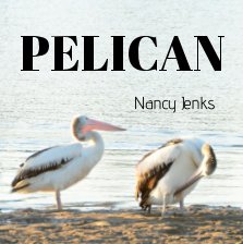 Pelican book cover