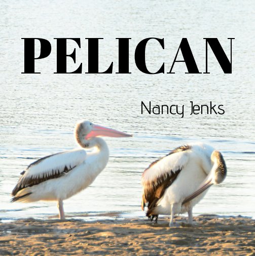 View Pelican by Nancy Jenks