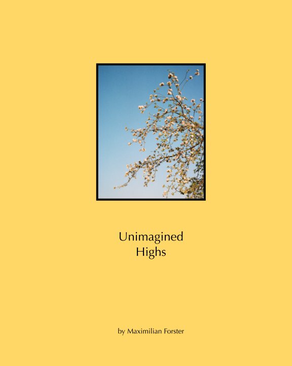 Visualizza Unimagined Highs di Maximilian Forster