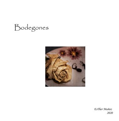 Bodegones book cover