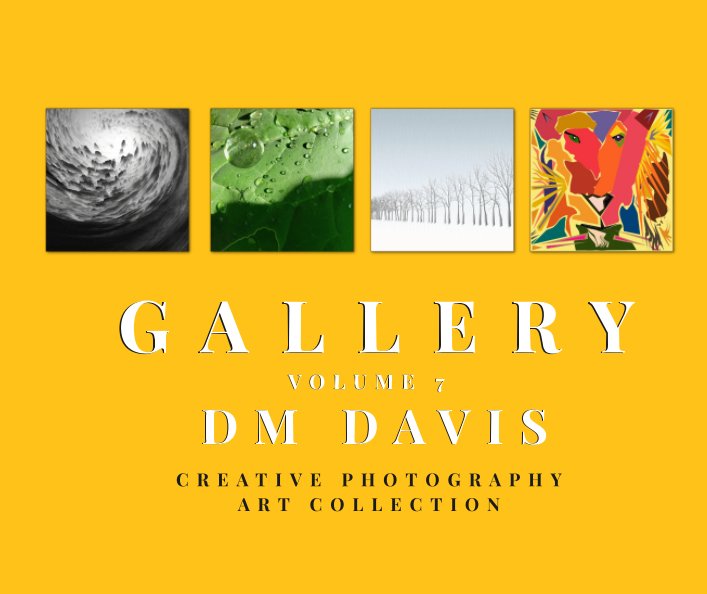 View Gallery Volume 7 by DM Davis