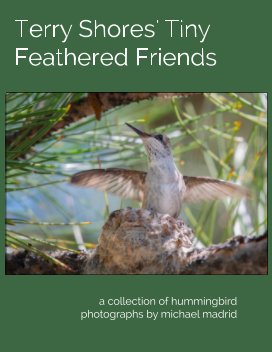 Terry Shores' Little Feathered Friends book cover