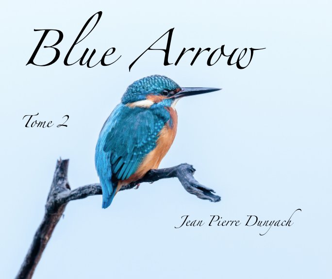 View Blue Arrow by Jean Pierre Dunyach