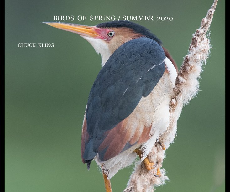 Bekijk Birds of Spring/ Summer 2020 op CHUCK KLING