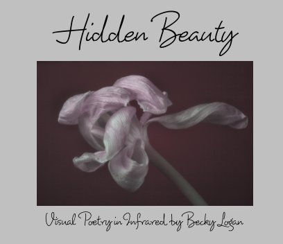 Hidden Beauty book cover