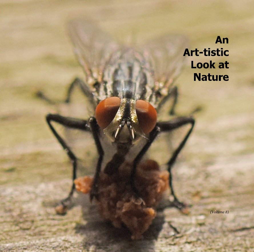 View An Art-tistic Look at Nature by Art Frith