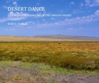 DESERT DANCE book cover