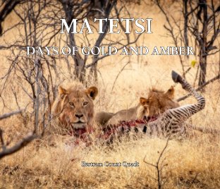 Matetsi – Days of Gold and Amber book cover