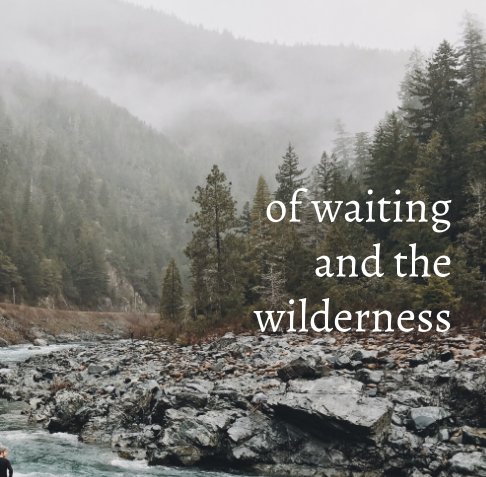 View Of Waiting and the Wilderness by george xavier