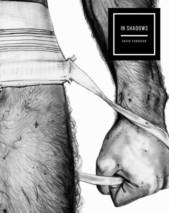 View In Shadows by David Farquhar