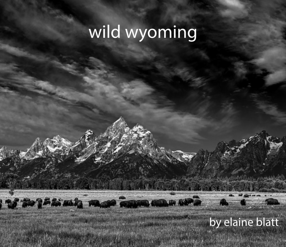 View wild wyoming by elaine blatt