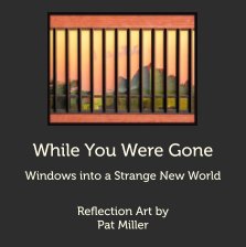 While You Were Gone book cover
