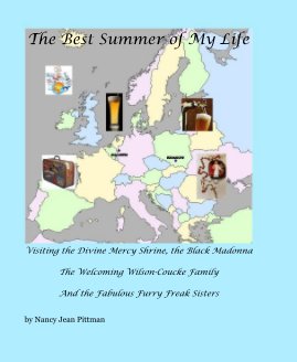 The Best Summer of My Life book cover