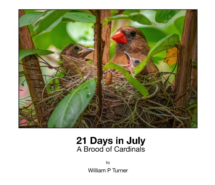 View 21 Days in July by William Turner