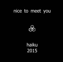 nice to meet you book cover