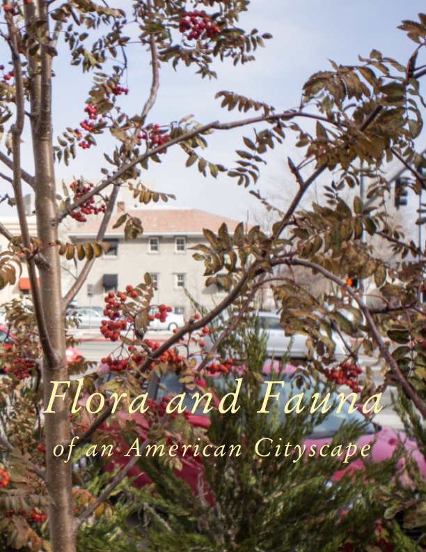 Ver Flora and Fauna of an American Cityscape por Jamie Pillers