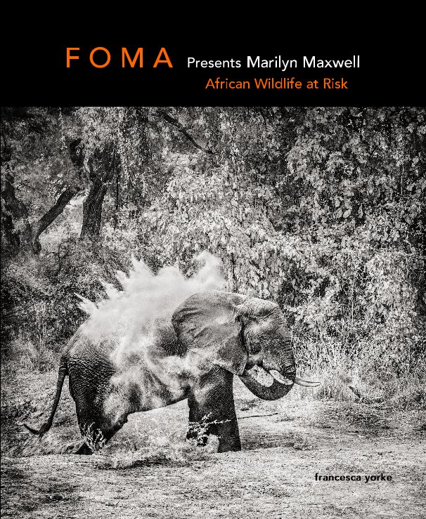 Ver F O M A Presents Marilyn Maxwell por Francesca Yorke
