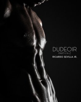 Dudeoir Part II: N-Z book cover
